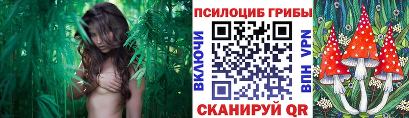 Псилоцибиновые грибы Magic Shrooms  MEGA tor  Подольск 